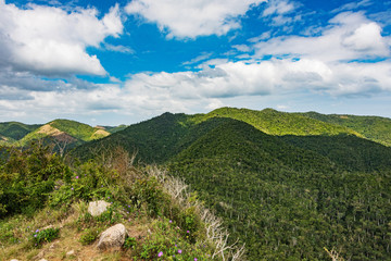 Obraz premium panoramic view to the valley of Soroa, cuba