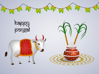 Pongal background