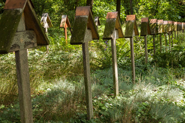 namenlose Kriegsgräber im Wald