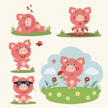 Vector set funny pig in different poses on summer meadow with flowers. Collection little pig in cartoon style.