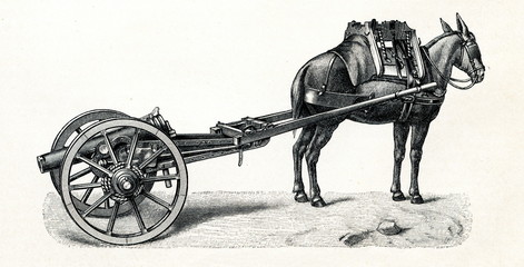 Naklejka premium Spanish mountain gun transported by mule (from Meyers Lexikon, 1895, 7/440/441)