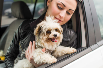 Woman with the dog in the car