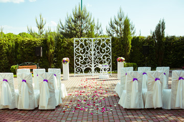 White chairs with violet bows stand on the pavement in the garde