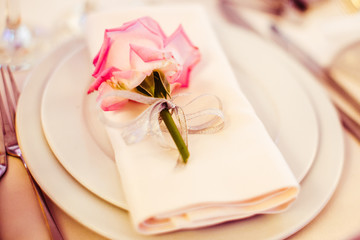 A bud of pink rose lies on the white plate