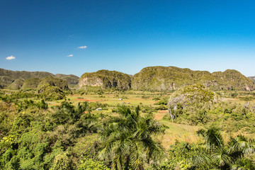 Fototapeta na wymiar pinar del rio valley near vinales on cuba