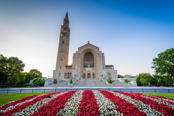 Flowers and the Basilica of the National Shrine of the Immaculat