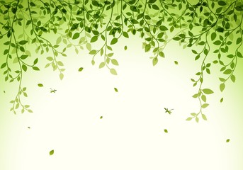 Green leaves background