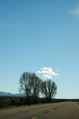 Trees on highway, blue sky, Utah