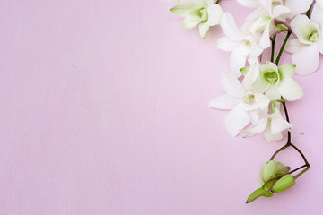Postcard with white orchids on the pink wooden background. Greeting card template. Holiday mock-up.
