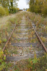 Obraz premium Forgotten railway overgrown with grass and bushes. Railway without people. forgot the way