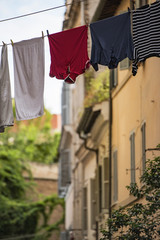 Vegetation and architecture in Trastevere, Rome.