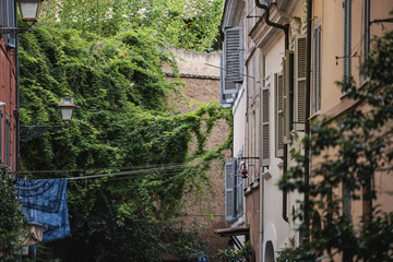 Vegetation and architecture in Trastevere, Rome.