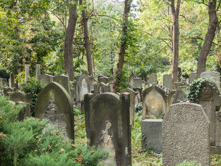 Alter jüdischer Friedhof in Breslau / Wrocław