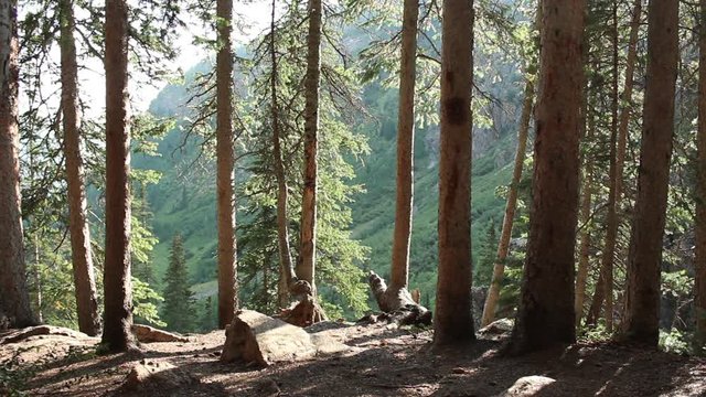Mountainside scene, Colorado beauty.