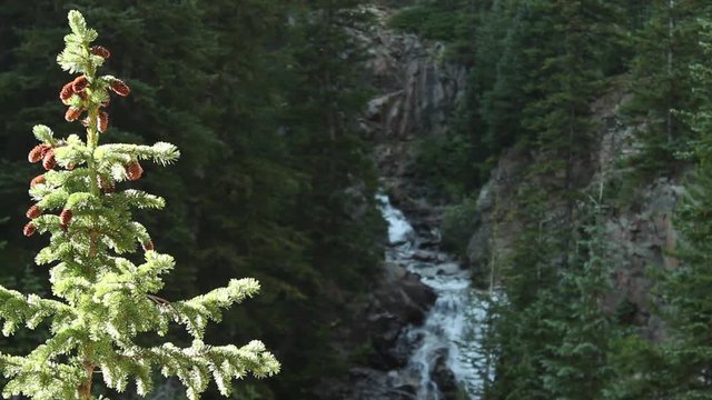 Natural waterfall, Colorado beauty, rack focus nature shot.