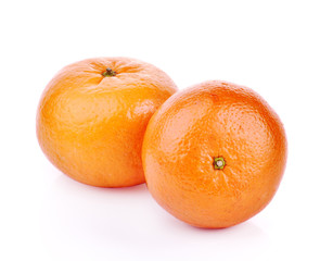 oranges on white background