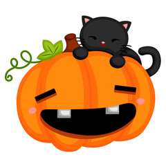 Black cat and the pumpkin