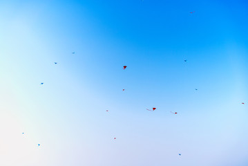 Kites flying 