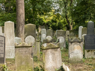 Alter jüdischer Friedhof in Breslau / Wrocław
