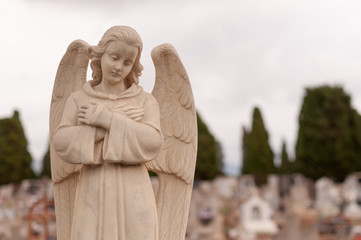 angel of death in cemetery with spiderweb