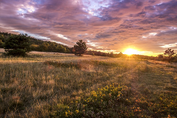 Naklejka na ściany i meble Colorful sunset in the nature, karst countryside in Trieste