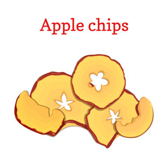 Vector illustration of apples dried fruits. Slices of apple chips, baked delicious fruits isolated on white background. It can be used in the design of packaging cereals, breakfast cereal healthy food