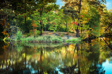 Fototapeta na wymiar Sunny day in outdoor park with lake and colorful autumn trees reflection under blue sky. Amazing bright colors of autumn nature landscape