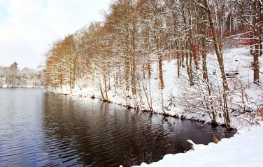 Winter trees and lake.