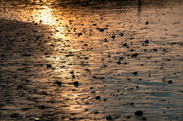 Coast of the Baltic Sea