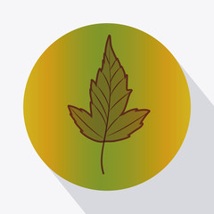 Leaf inside circle icon. Autumn season floral garden and nature theme. Colorful design. Vector illustration