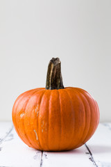 halloween pumpa på vit trä bakgrund