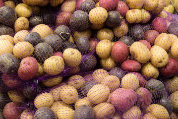 Colorful baby potatoes in a mesh bags