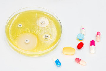 Sensitivity tests on MU plate and antibiotic.