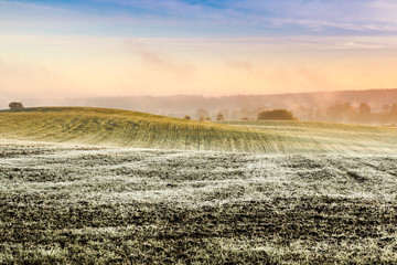 The first frost in the fields. Misty autumn morning.
