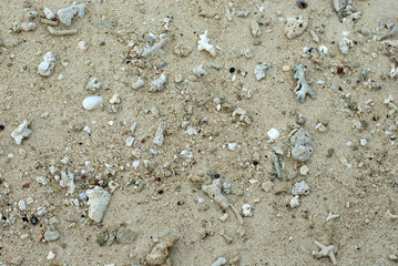 Broken weathered coral on the beach