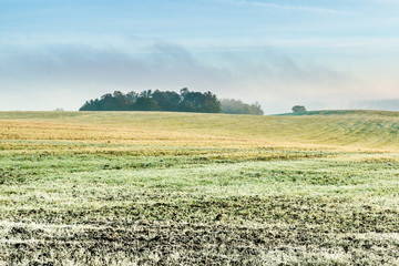 Fototapeta na wymiar The first frost in the fields. Misty autumn morning. 