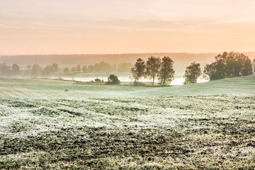 The first frost in the fields. Misty autumn morning.
