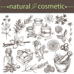 natural cosmetics hand drawn collection