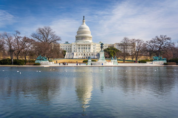 The United States Capitol and reflecting pool in Washington, DC.