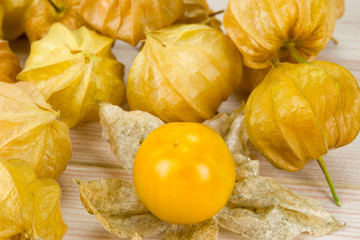 Physalis - Andenbeere - Kapstachelbeere 