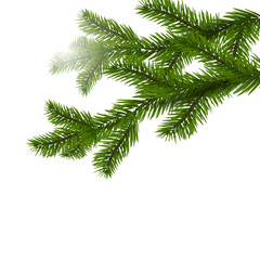 Fototapeta na wymiar Two green spruce branches realistic. Christmas Spruce branches. Isolated on white Christmas illustration