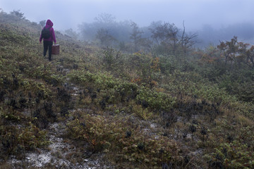 Migrant marchant dans la brume.