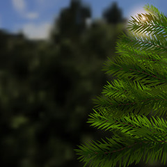 Realistic green spruce. Beautiful, natural background. Sunset in the mountains. Fir tree - a symbol of Christmas and New Year.  illustration