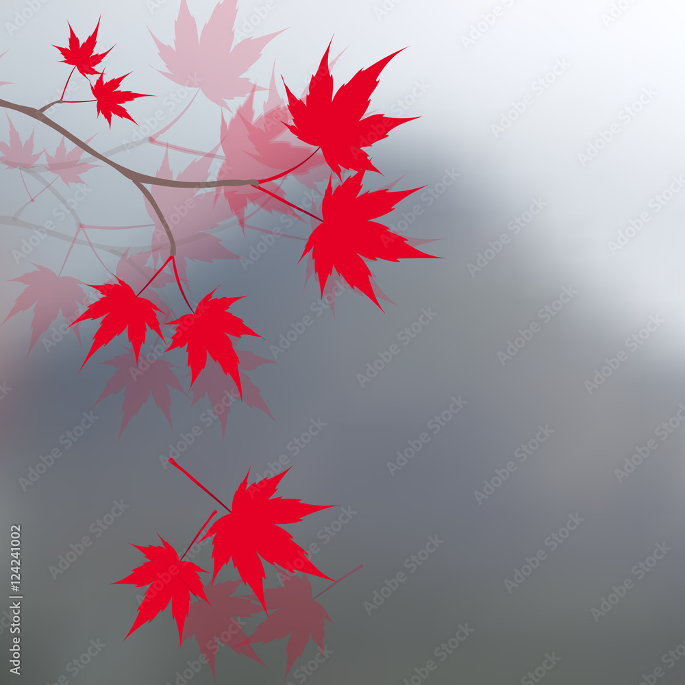 Wall mural red maple leaves on the branches. japanese red maple on a background of mountains in the mist. lands