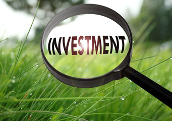 investment