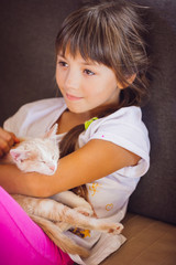 Fototapeta premium beautiful little girl with a nice white cat
