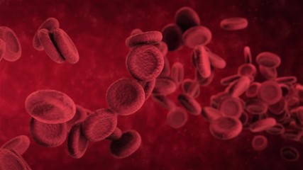 3d animation of red blood cells flowing through artery - Powered by Adobe