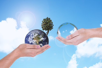 Man's hand is holding and giving water element to Man's hand is holding the earth and a tree with green natural background and light on top of left. The earth image furnished by NASA.