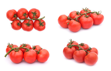 Set of tomatoes