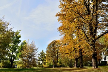 jesień w parku